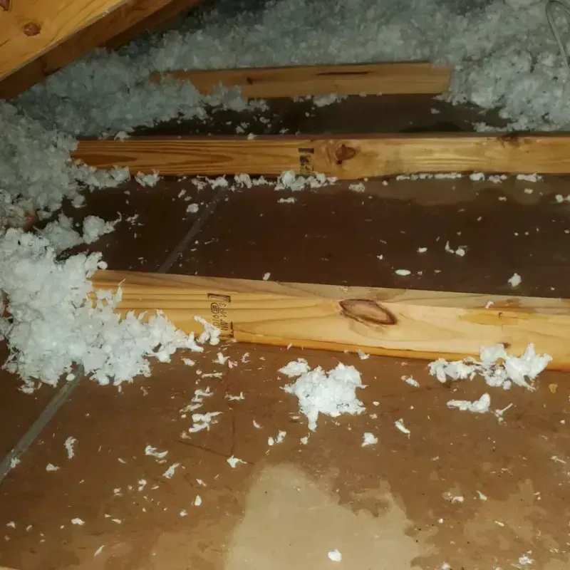 Attic Water Damage in Rathdrum, ID