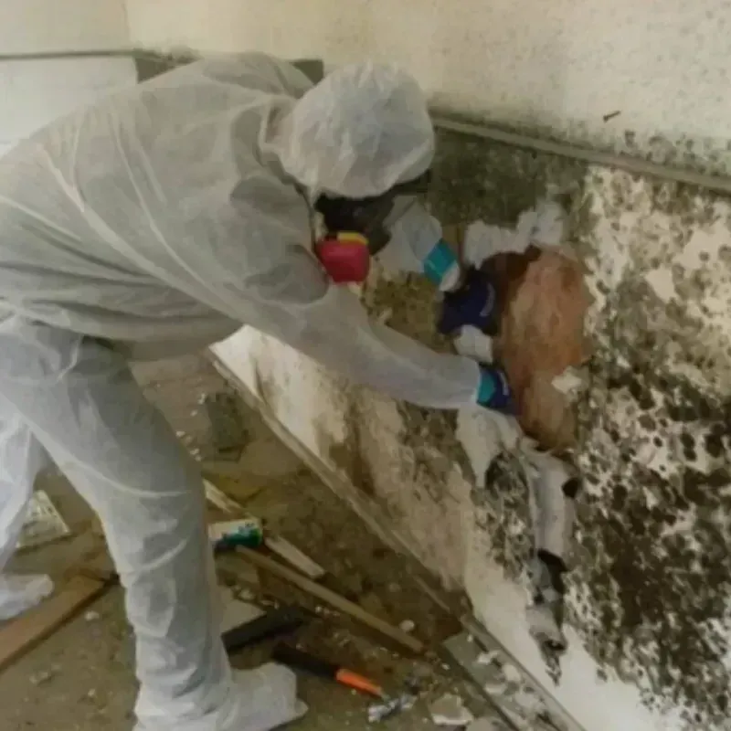 Mold Remediation and Removal in Rathdrum, ID