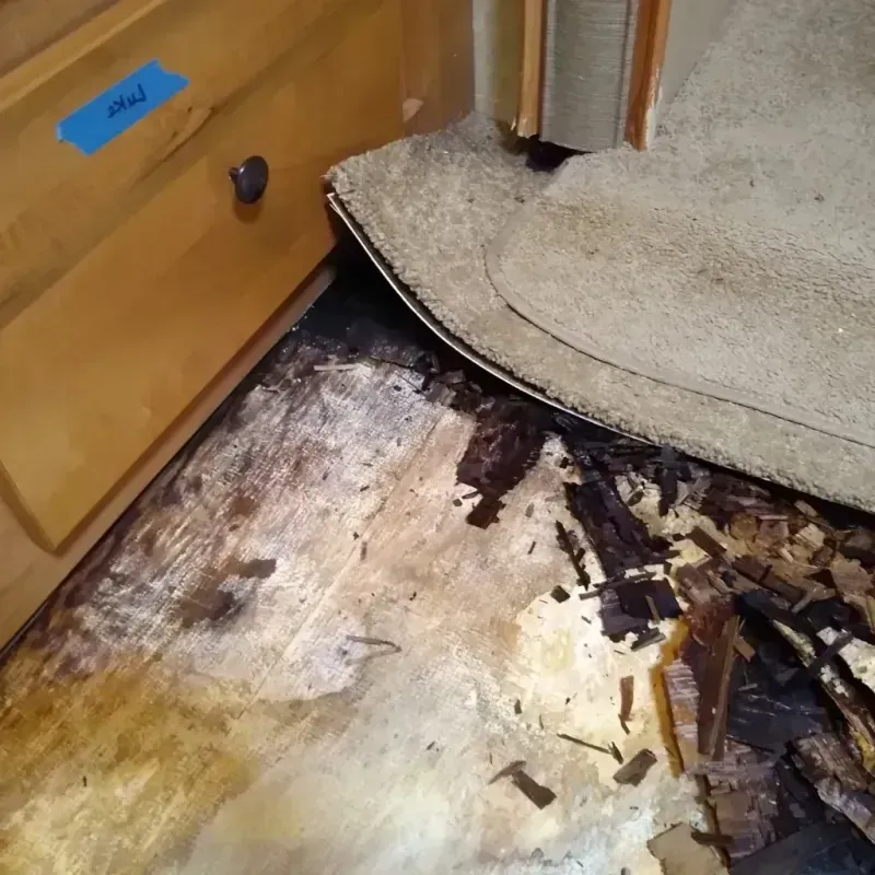 Wood Floor Water Damage in Rathdrum, ID